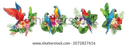 Tropical arrangements with leaves, flowers and birds for party invitations and poster designs.