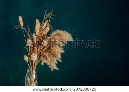 Bouquet of beige dried flowers in a glass vase on green blue background. Home decoration concept. Copy space.
