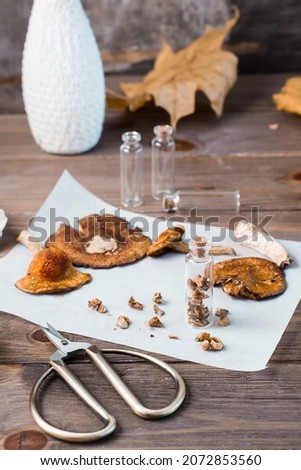 Dried chopped fly agarics stacked in a small jar and dry mushrooms on parchment and scissors on a wooden table. Microdosing and Alternative Medicine. Vertical view Royalty-Free Stock Photo #2072853560