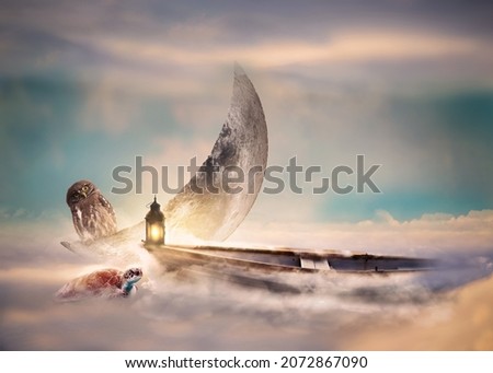 Fantasy setting of a magic boat in a misty sky in a sea of clouds. A turtle and an owl curiously peeking inside the boat. Fairy tale concept with a dreamy soft feeling. Perfect as a background