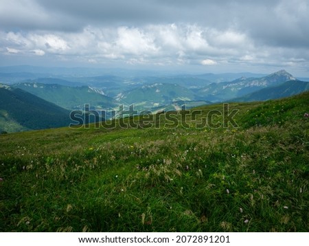misty mountain tops in Slovenia Triglav national park. summer landscape with rocks and green meadows.