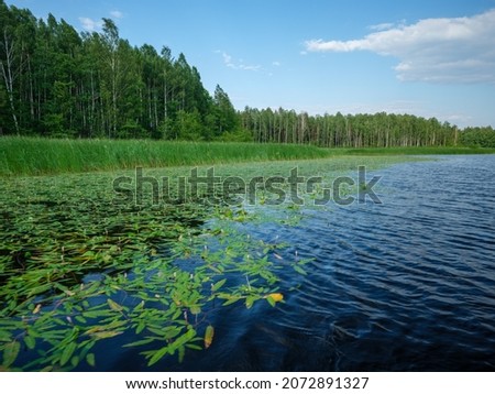 country forest lake in summer with deep blue water with reflections and green trees on the shores