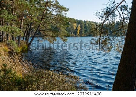 country forest lake in summer with deep blue water with reflections and green trees on the shores