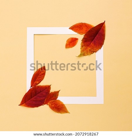 Autumn leaves composition.  Walnut and plane tree leaf background in white frame. Red leaves on beige layout.