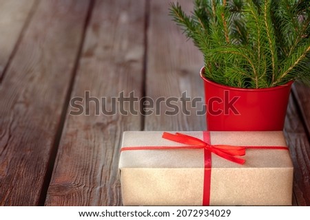 fresh christmas tree in the red bucket and gift tied with a red ribbon are on wood table outside with Sun rays