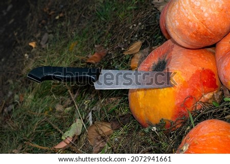 the knife stuck in an orange pumpkin