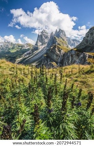 Seceda peaks. Trentino Alto Adige, Dolomites Alps, South Tyrol, Italy. Odle mountain range, Val Gardena. Majestic Furchetta peak Royalty-Free Stock Photo #2072944571