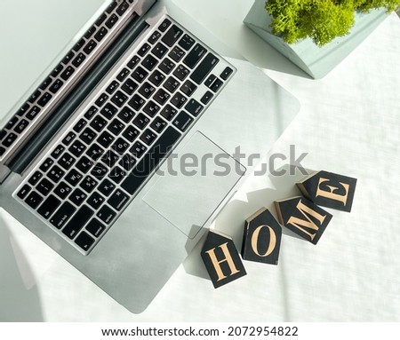 Home office concept, laptop, green moss plant and cozy working place. Remote job office.