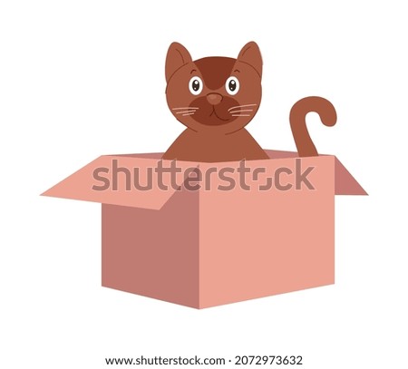 Cat in box. Cute pet has found itself small house. Playful and cute character. Animal plays with construction waste or leftovers from purchases, delivery, shop. Cartoon flat vector illustration