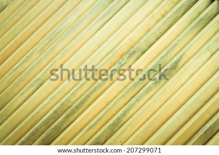 Close up of wooden fence panels.