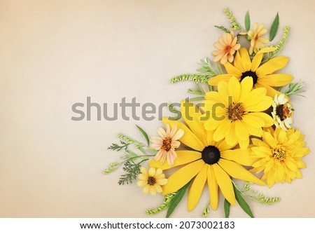 Delicate blossoming yellow autumn flowers, blooming festive fall frame background, autumn bouquet floral card, selective focus, toned image