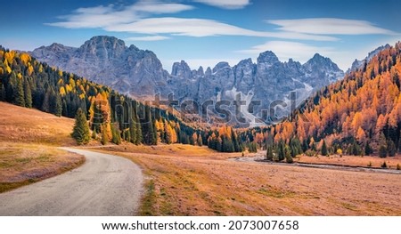 Colorful autumn view of Venegia valley, high altitude Dolomite valley natural park with jagged peaks, rolling meadows, pastures and streams. Stunning morning scene of Italian countryside.