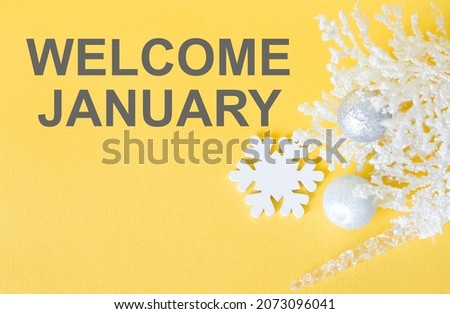 Welcome JANUARY inscription on a festive background, New Year