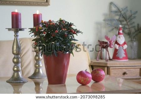 Christmas decor, still life: nightshade flower (nightshade), Christmas balls and red candles