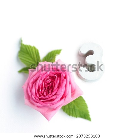 concrete number 3 and a beautiful rose with petals on a white background.
