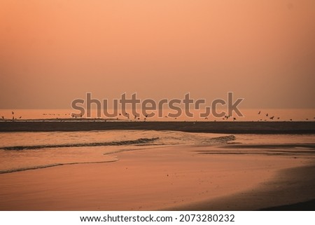 Beautiful Beach of Dandi, Navsari, Gujarat Royalty-Free Stock Photo #2073280232