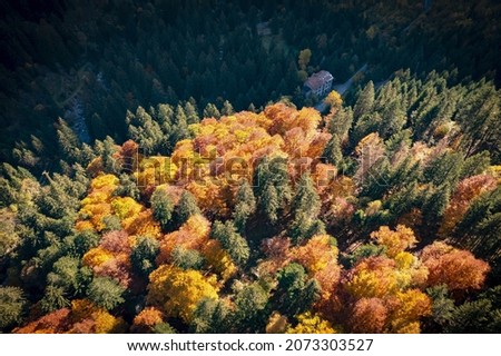 Bagni di Masino in Val Masino, Italy, autumn aerial view