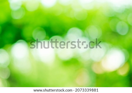 Abstract green blurred gradient background with bokeh sunlight. Ecology concept nature backdrop.