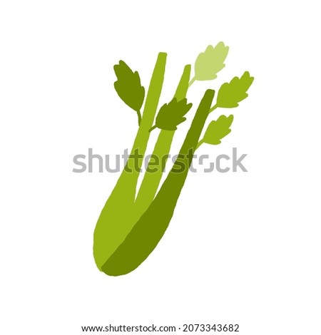 Celery stalks and leaf. Bunch of stems of fresh green leafy vegetable. Healthy natural raw food. Vitamin crunchy veggie icon. Flat vector illustration isolated on white background.