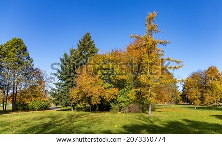 A picture of the fall foliage in a park in Ostrava.