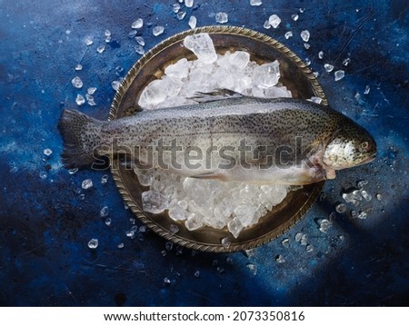 View from above. One fresh fish on a plate with ice cubes. Blue texture with ice pieces. Cooking, fish and seafood preparation, supermarket, sales, shopping, fishing.