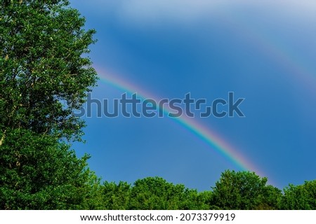 Rainbow against the background of blue rain sky and deciduous trees. Spring season. Web banner.