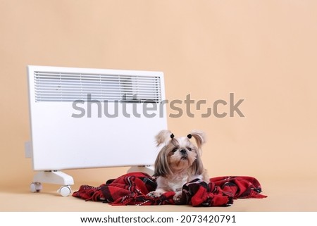 Cute dog with warm plaid and radiator on color background. Concept of heating season