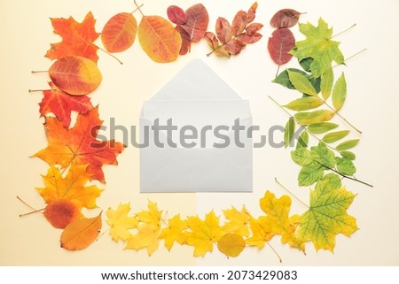 Envelope with blank card and autumn light on color background