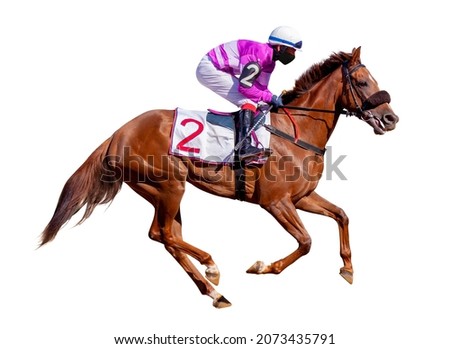 Horse racing jockey. Sport. Champion. Racetrack. Equestrian. Derby. Isolated on white background