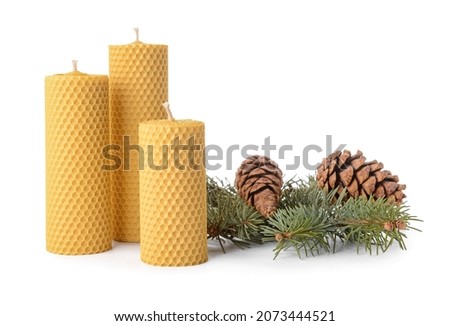 Composition with wax candles, fir branch and pine cone on white background