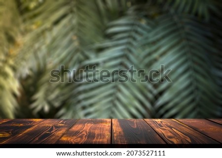Jungle table background. Interior table for a cosmetic item against the backdrop of tropical plants, palms and jungle. Royalty-Free Stock Photo #2073527111