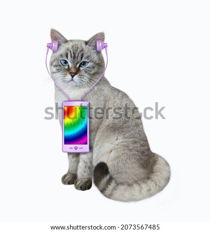 An ashen cat in headphones listens to music from a smartphone. White background. Isolated.