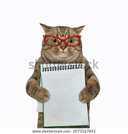 A beige cat in glasses holds a blank notebook. White background. Isolated.
