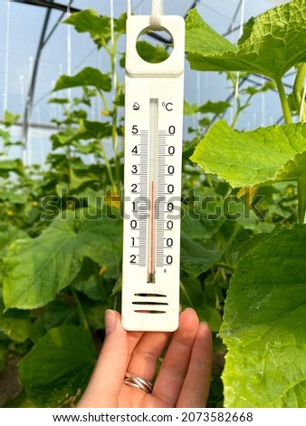 Picture of thermometer measuring right temperature in hothouse.