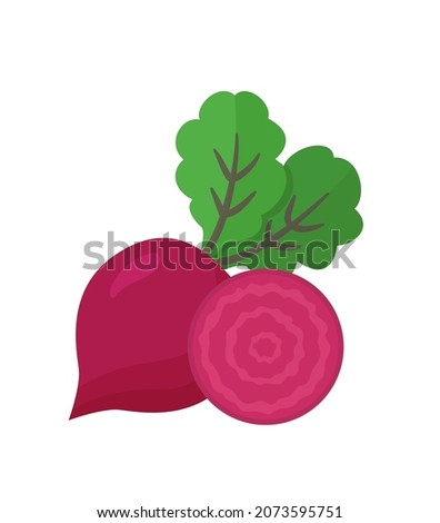 Beet root isolated on white background. Fresh red beetroot with leaves and a half. Vector illustration of vegetarian food. Natural organic vegetables Royalty-Free Stock Photo #2073595751
