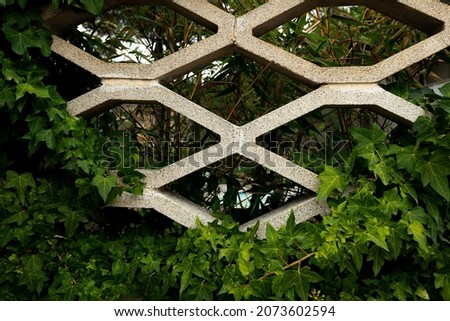 Background of grey ellipses wall finished with soft cement coating texture and ivy covering the wall. Grey ellipses pattern, textures and backgrounds Royalty-Free Stock Photo #2073602594
