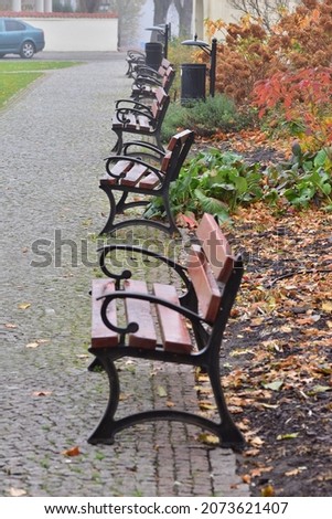 Benches in an autumn promenade park among fallen leaves and in the fog. Autumn.