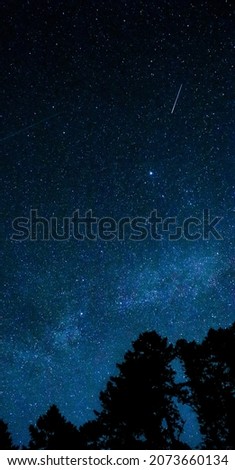 Milky Way Band with shooting star above field of trees
