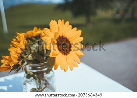 A selective focus shot of sunflowers in a jar with water on a white table outdoors