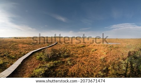 Aukštumala swamp - high swamp in Šilutė district, Pomeranian region. It is one of the largest wetlands not only in Western Lithuania, but also in the whole of Lithuania. Royalty-Free Stock Photo #2073671474