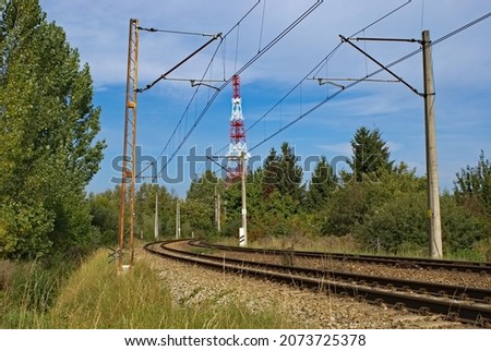 railway lines in the middle of the forest. Picture with space for text.
