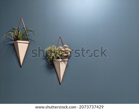 Hanging triangle shape pot with plants on a blue background wall. Home decorative plants Royalty-Free Stock Photo #2073737429