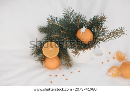 Creative Christmas composition with spruce branches and tangerine on a white background. High quality photo
