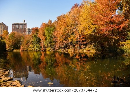 Central Park in New York city during autumn season. Reflection of beautiful foliage in the pond on a sunny day. 