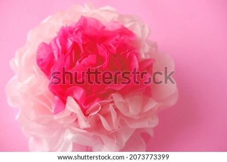 Pink flower and pink background