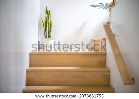 Modern natural ash tree wooden stairs in new house interior. Stairs architecture interior design of contemporary, Modern house building stairway. Luxury fashionable modern design studio apartment. Royalty-Free Stock Photo #2073831755
