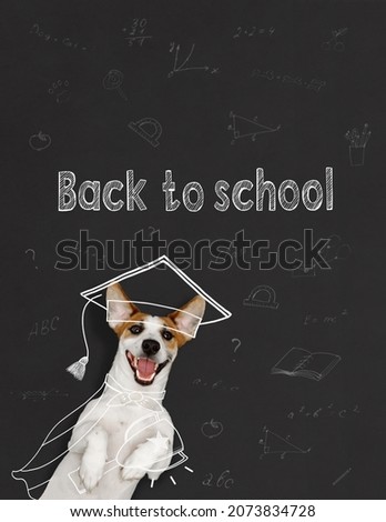 Smart jack russell with Trophy Cup,  near blackboard. Education, winner, championship, success, creative and imagination concept.