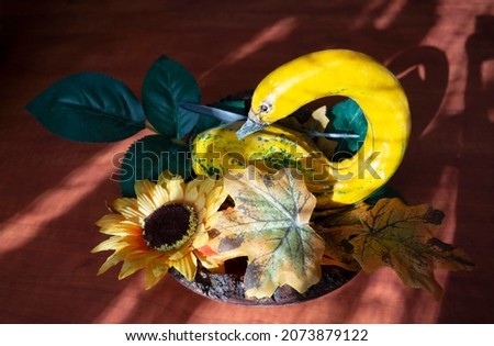 Decorative pumpkin resembling a swan