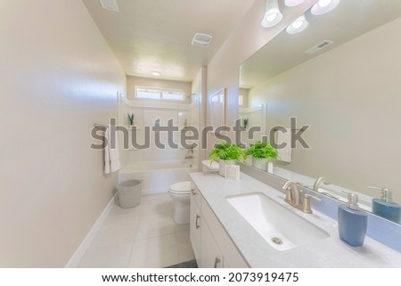 White bathroom interior with indoor plants decorations