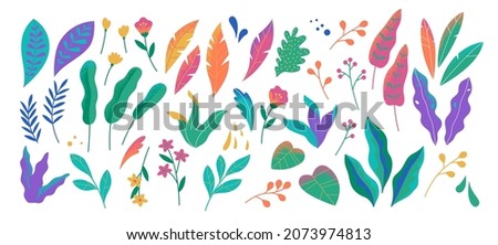 Abstract modern foliage collection. Botanical futuristic elements isolated on a white background. Vector illustrations in flat style. Branches, wild flowers, palm leaves, berries and grass. Royalty-Free Stock Photo #2073974813